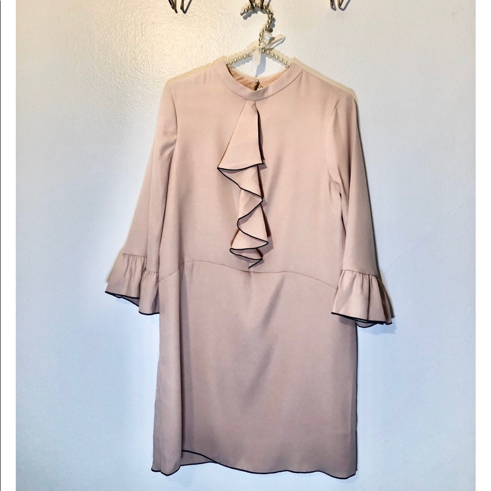 Zara Blush Ruffle Dress - Picture 2 of 3